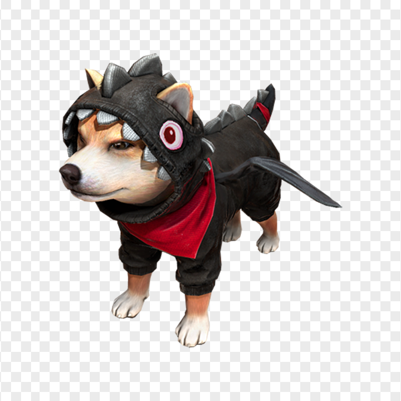 pet shiba